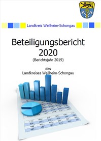 Beteiligungsbericht 2020 (Berichtsjahr 2019)