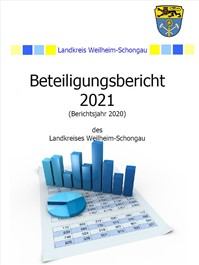 Beteiligungsbericht 2021 (Berichtsjahr 2020)
