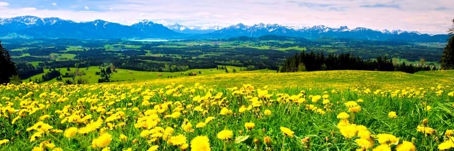 Landschaft um den Auerberg