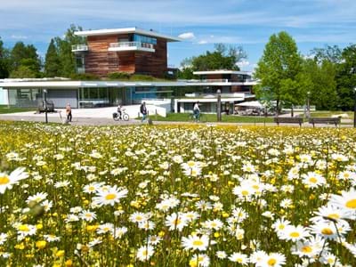 Blumenwiese im Hintergrund Buchheim Museum