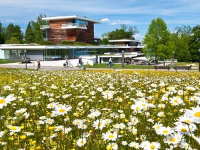 Bernried Buchheimmuseum Blumenwiese im Hintergrund Buchheim Museum