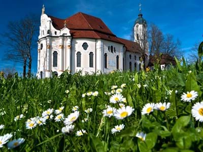 Wieskirche  mit Blumenwiese