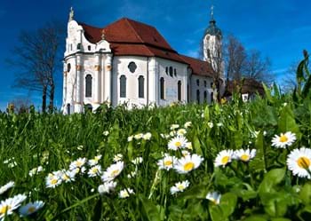 Wieskirche  mit Blumenwiese