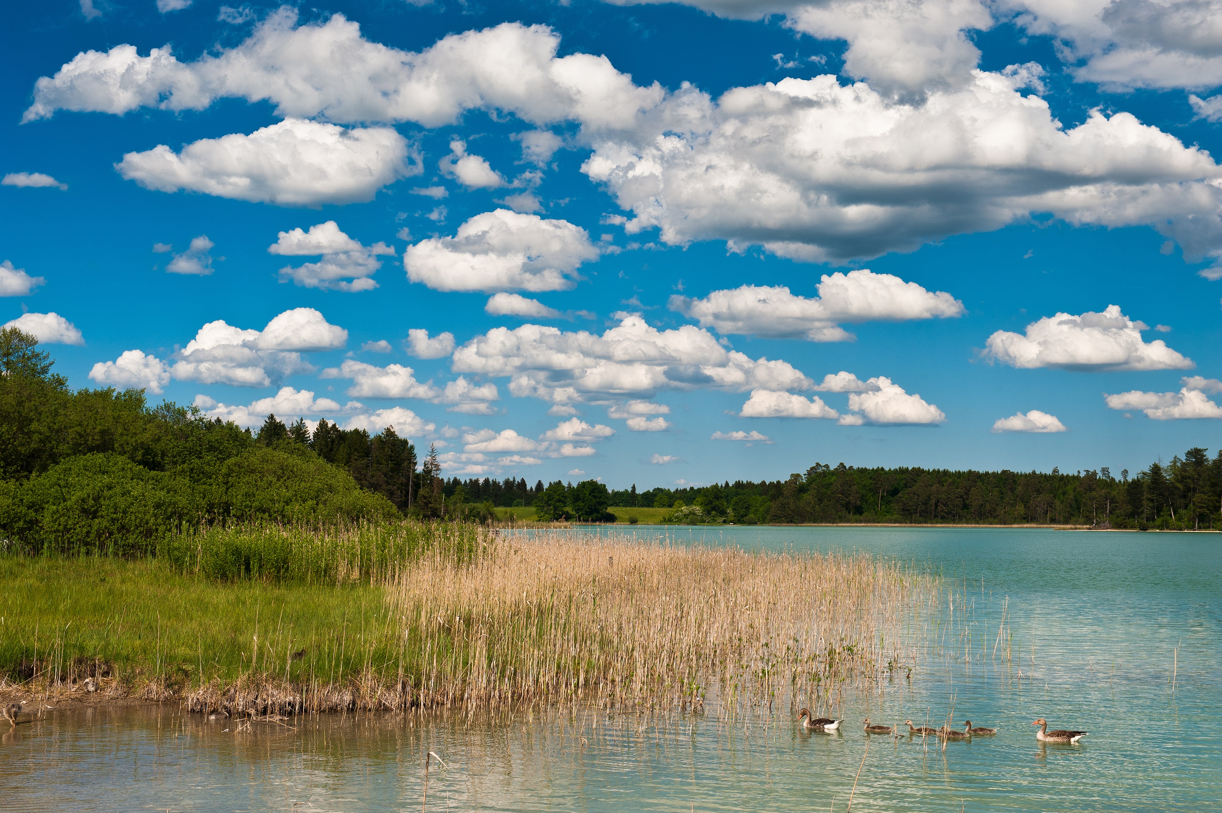Sonstige Badeplätze 