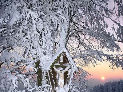 Winter-Kreuz Winterlandschaft - unter einem Baum ein Kreuz
