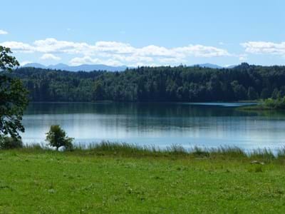 Iffeldorf-Ostersee Staltach Iffeldorf Ostersee Badeplatz Staltach - Liegewiese mit See im Hintergrund