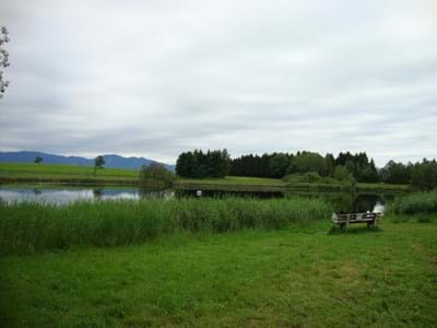 Obersöchering Eckenbühler Weiher - Badeplatz mit Bank am See