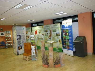 Ausstellung zum Jahr der Biene Ausstellung über das Jahr der Biene