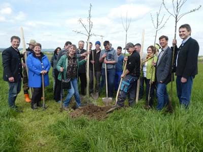 Künftige Landwirtschaftschüler pflanzen im Beisein weiterer Beteiligter einen Birnbaum