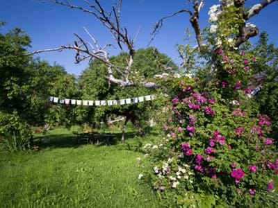 Paradieshof Blühender Garten