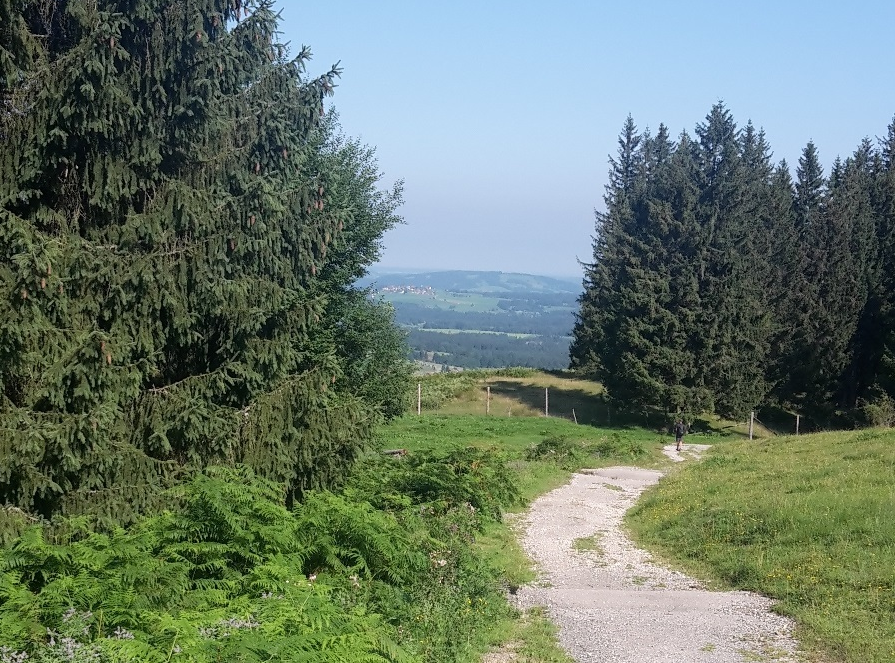 Weitere Informationen und Adressen