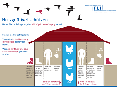 Nutztiere schützen Grafik Nutzgeflügel schützen