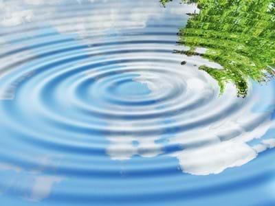 Fotolia_26686515_L.jpg