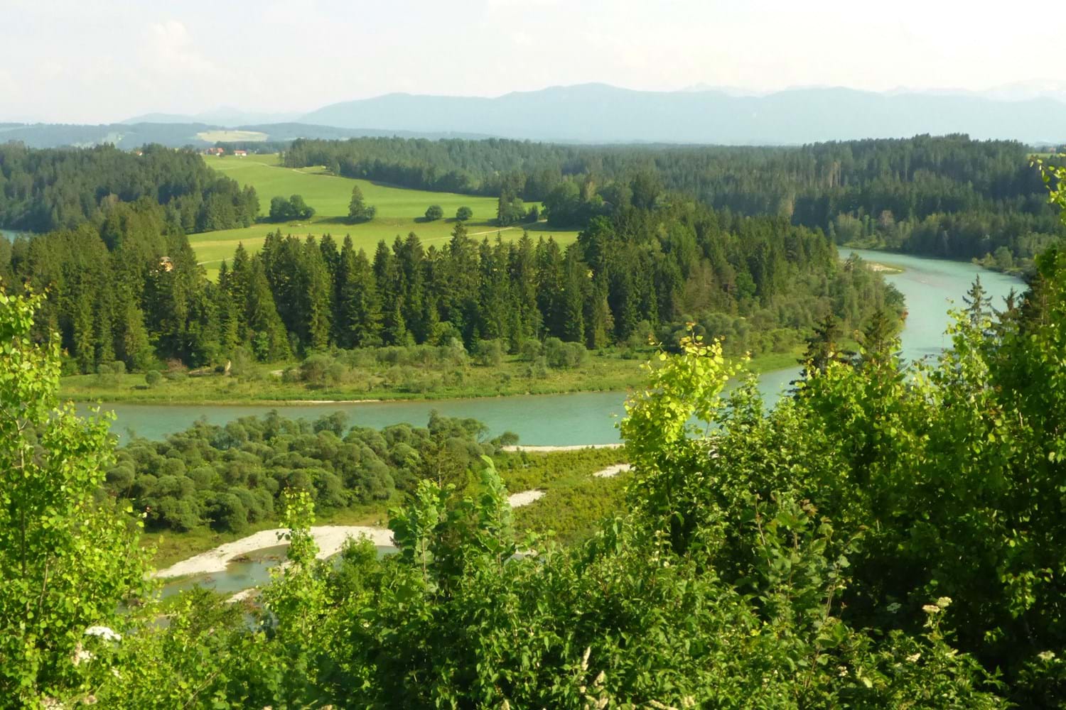 Litzauer Schleife