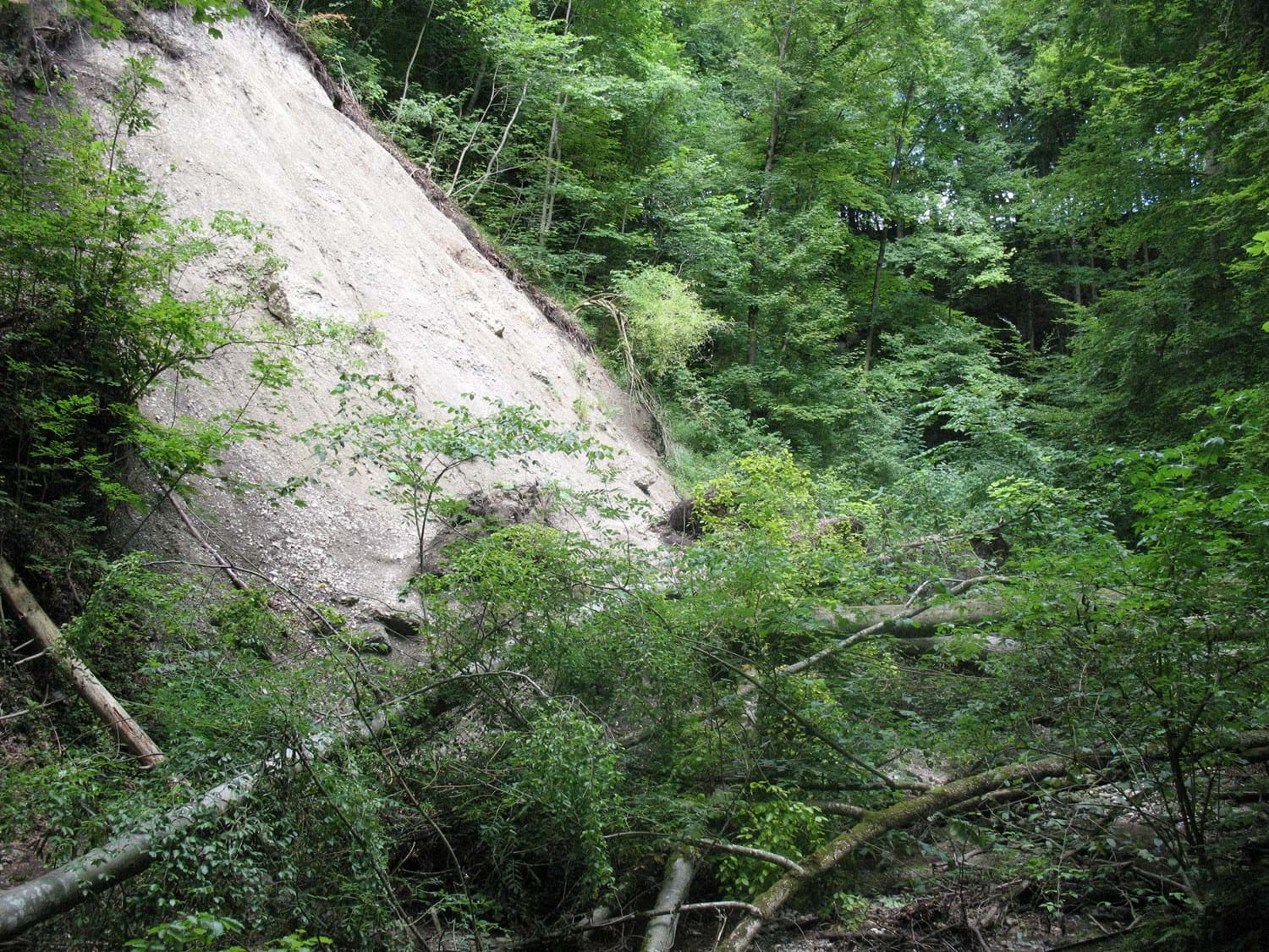 Pähler Schlucht