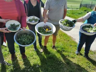 Verschiedene Schüsseln mit Kräuter und Salat