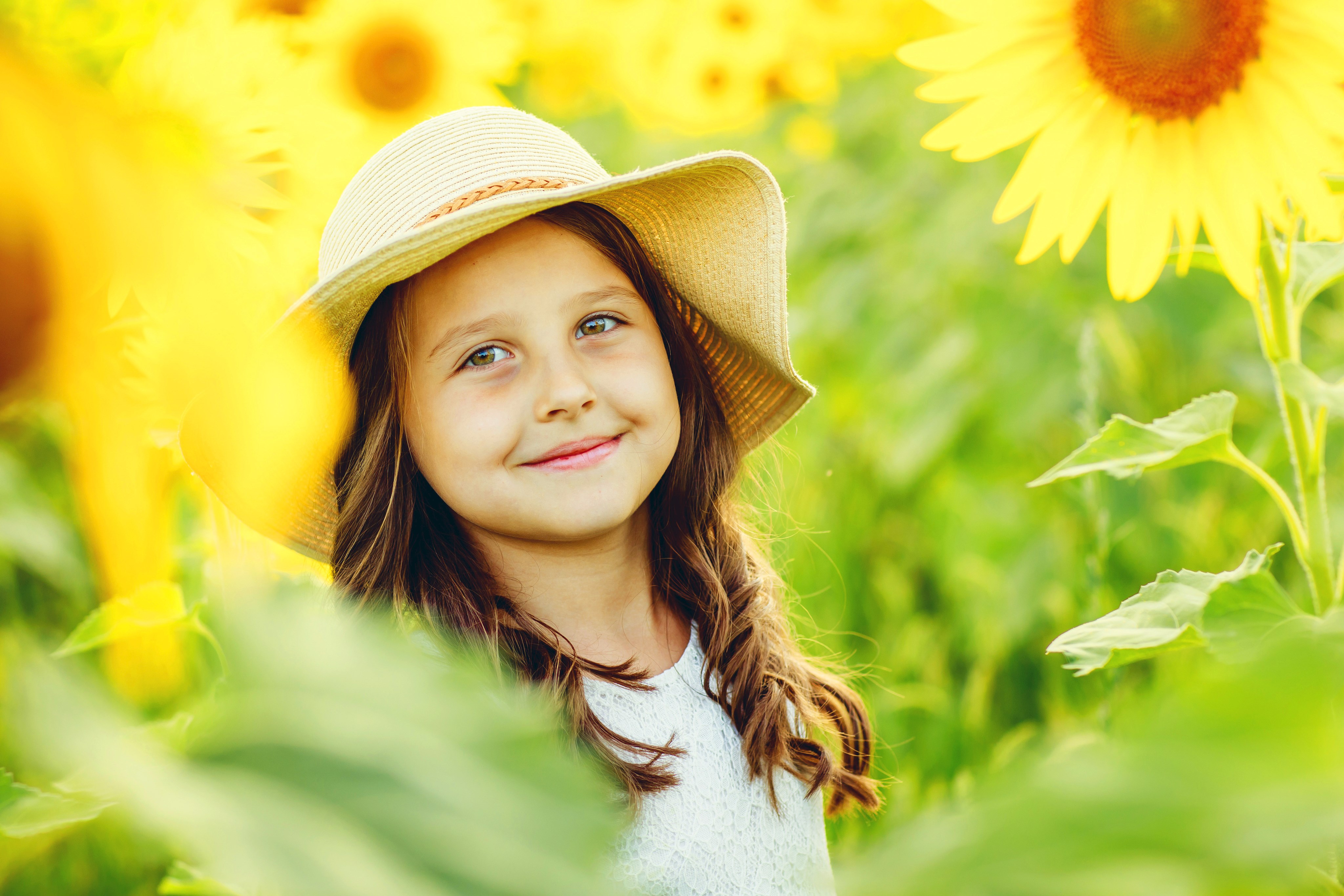 Prämien und Bewertung