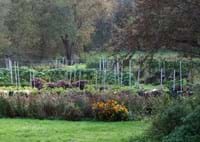 Schaufel & Gabel-Garten im Herbst