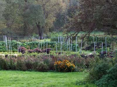 Herrlicher Herbst mit Blüten und Früchten: Das Netzwerk Gartenwinkel-Pfaffenwinkel lädt zum Besuch der Gärten 
am 06. 09. 2025 ein.