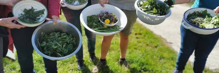 Am Wieshof gab es 2024 sogar leckeren Superfood der Saison: Der Klimafrühling Oberland
startet am 17. April 2026 mit seiner nun fünften Ausgabe mit über 170 Events