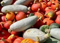 Erntedank im Gartenwinkel Pfaffenwinkel